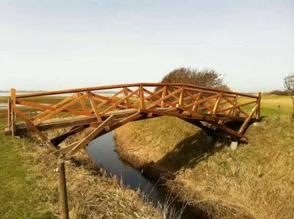 球王会:500年前达芬奇设计的桥梁经过仿真验证：当时最长跨度抗震